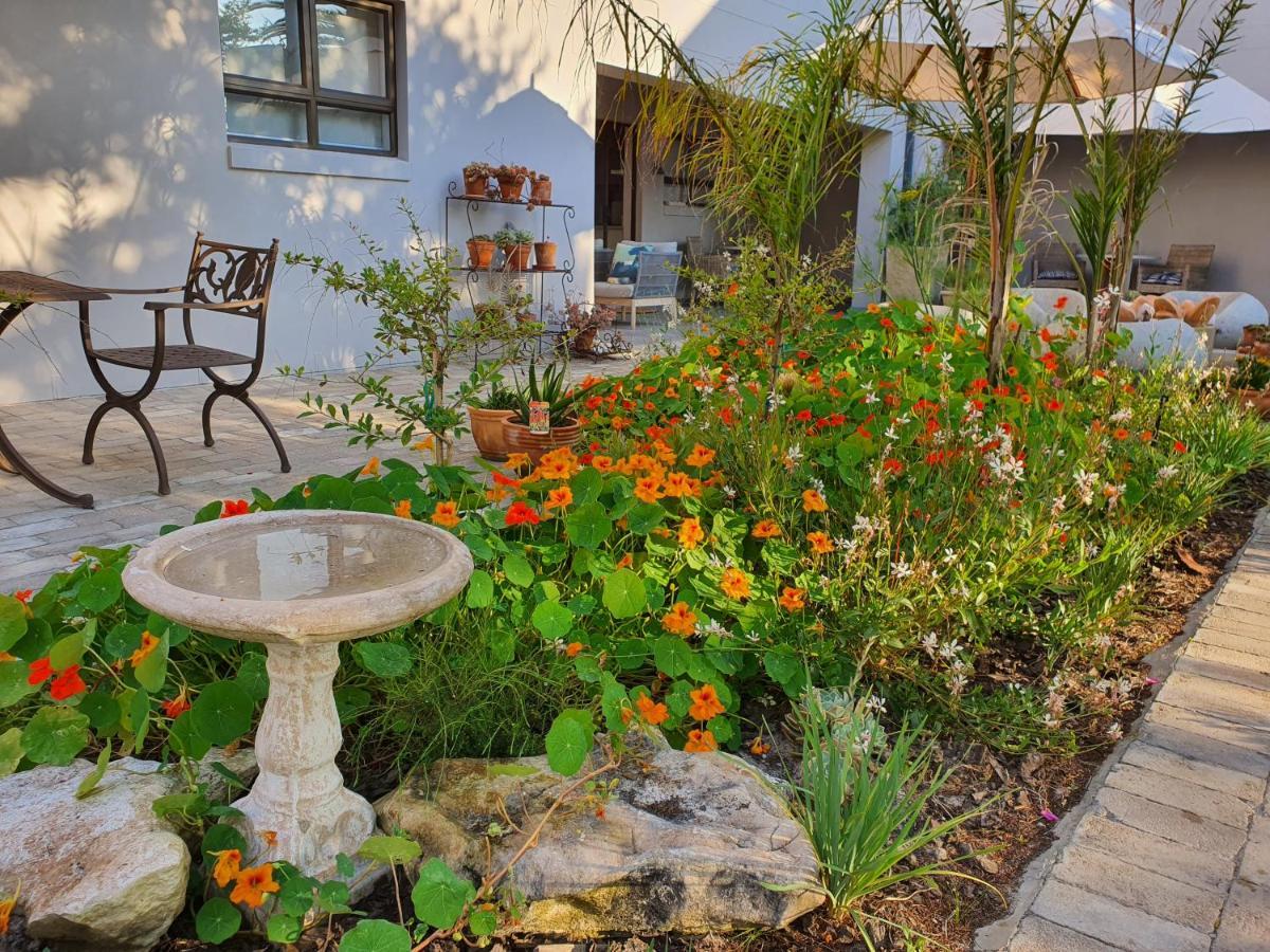 Albatross Guesthouse Langebaan Zewnętrze zdjęcie